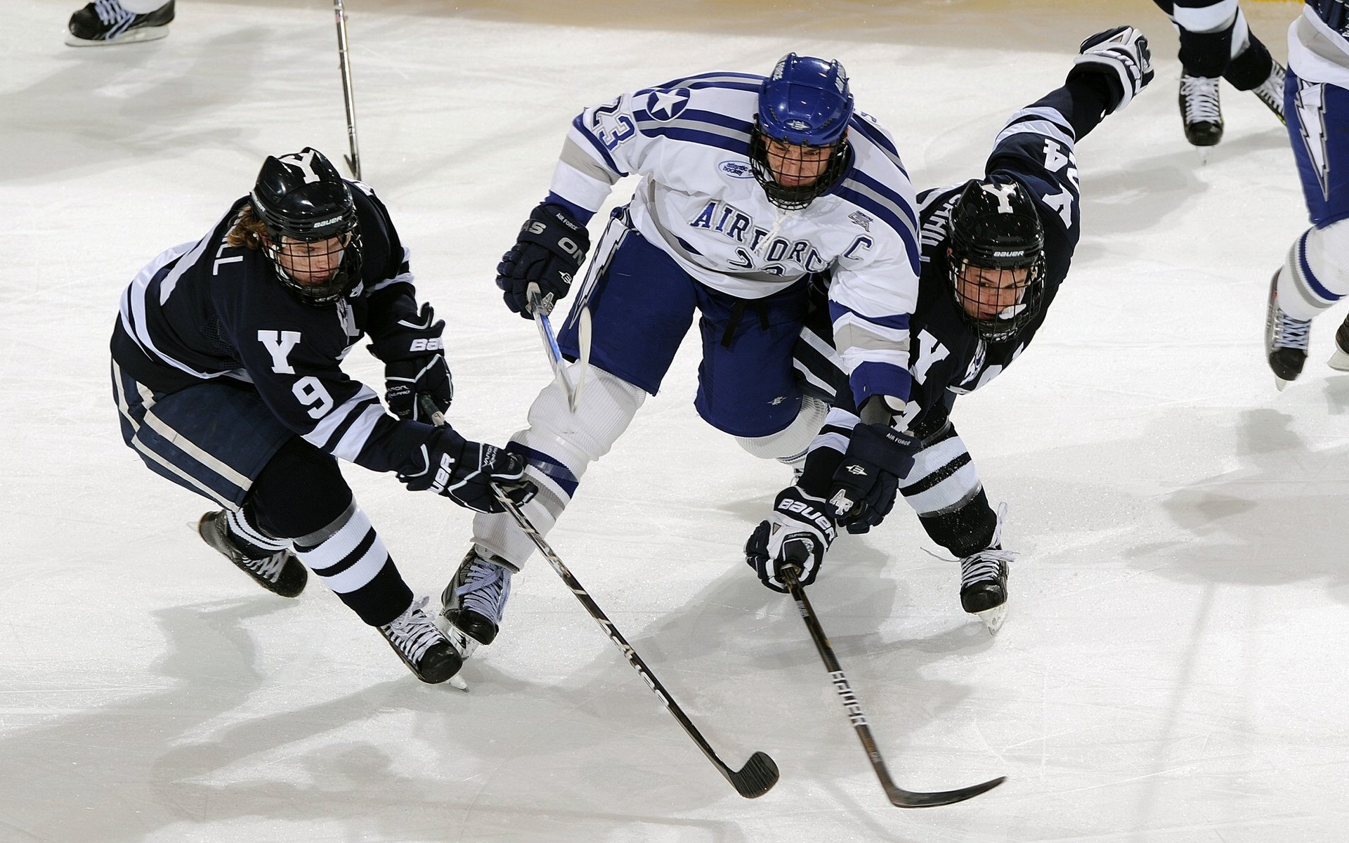 特色足球场馆科技“智造”引领行业新风潮，绿色可持续发展逐步落实
